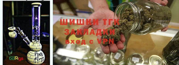 ешки Вяземский