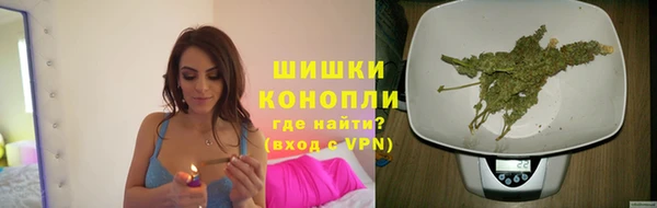 ешки Вяземский