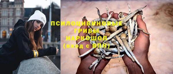 ешки Вяземский