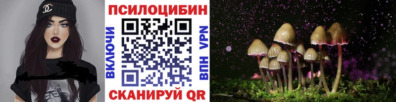 Галлюциногенные грибы прущие грибы  цена наркотик  Дмитровск 
