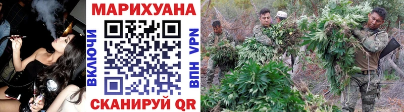 Конопля план  Дмитровск 